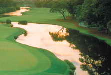 hilton head golf course green